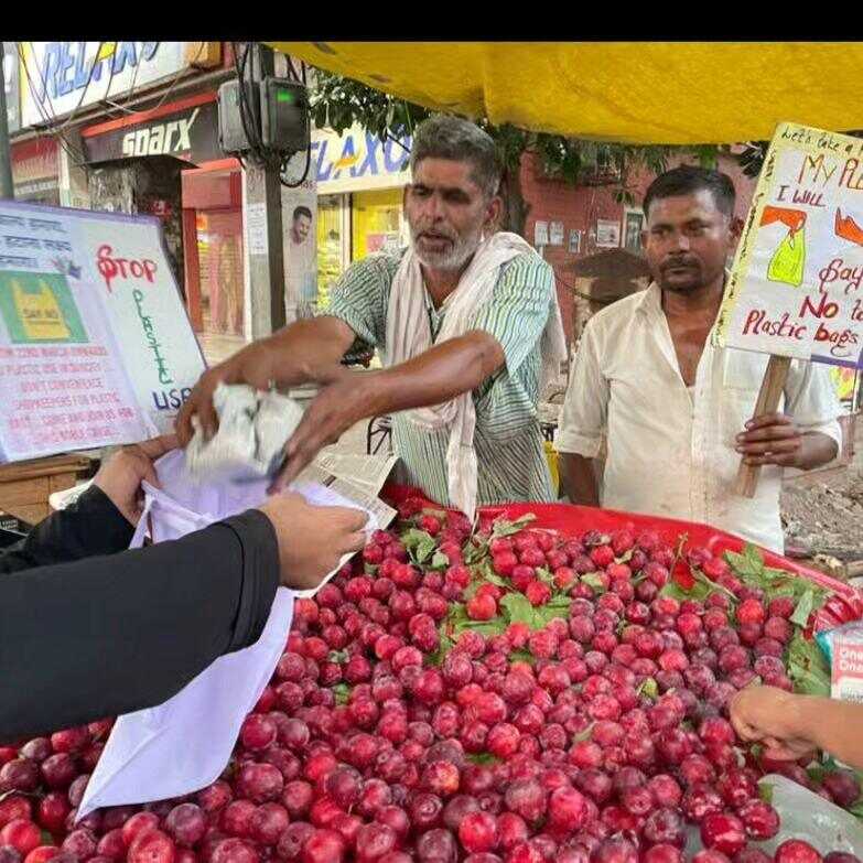 tricity eco warriors in mandis