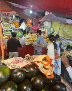 tricity eco warriors in mandis